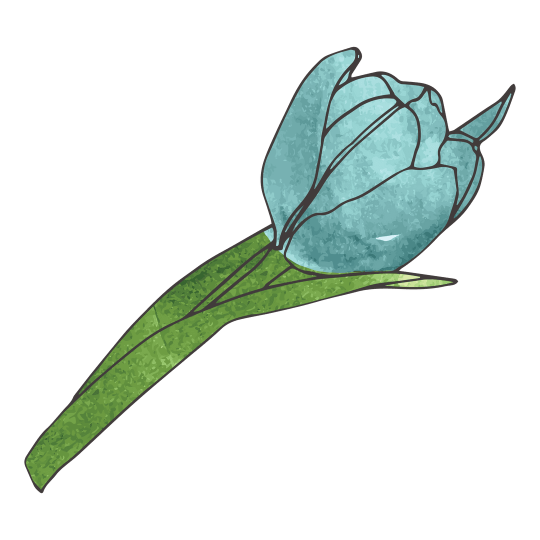 Transparent Blue Tulip Illustration with Green Leaves