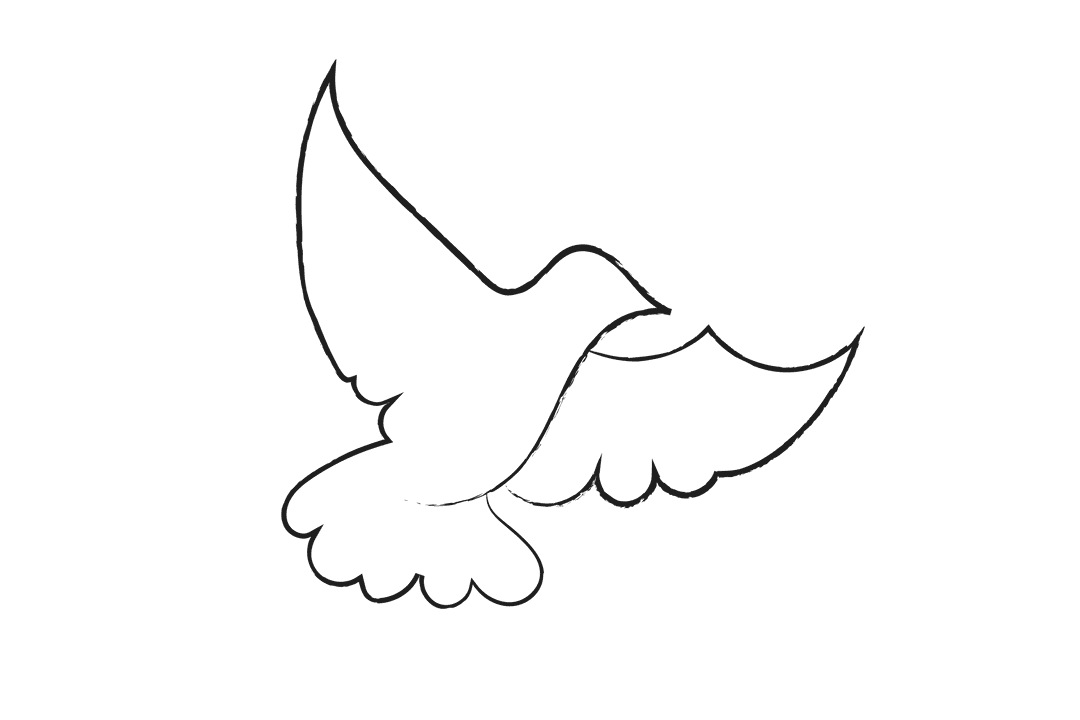 Transparent Black Outline Pigeon with Copy Space on Clear Background