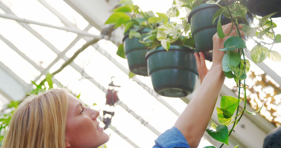 Woman Tending Hanging Plants Indoors - Free Images, Stock Photos and Pictures on Pikwizard.com