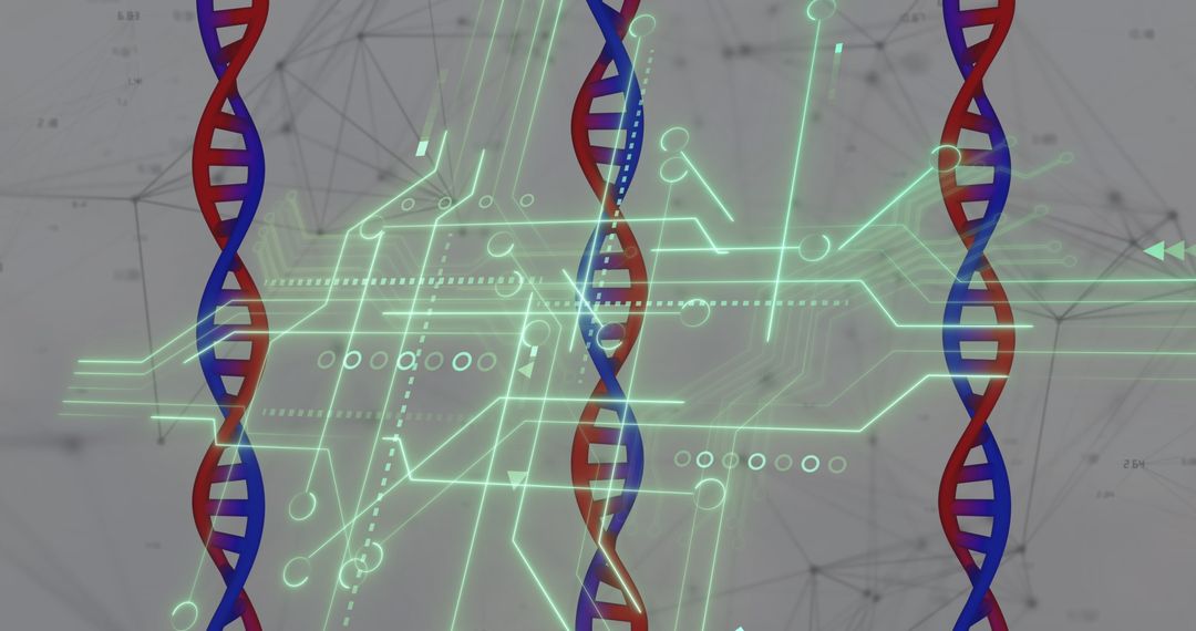 DNA Strands and Digital Interface Conceptual Image