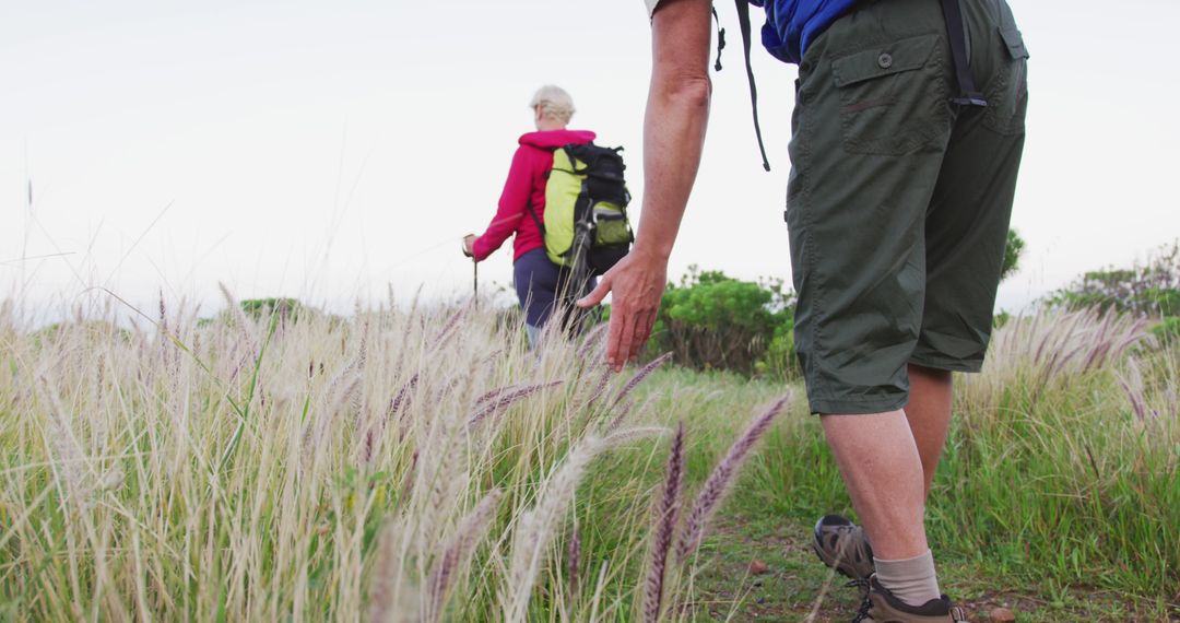 Senior Hikers Exploring Nature with Backpacks