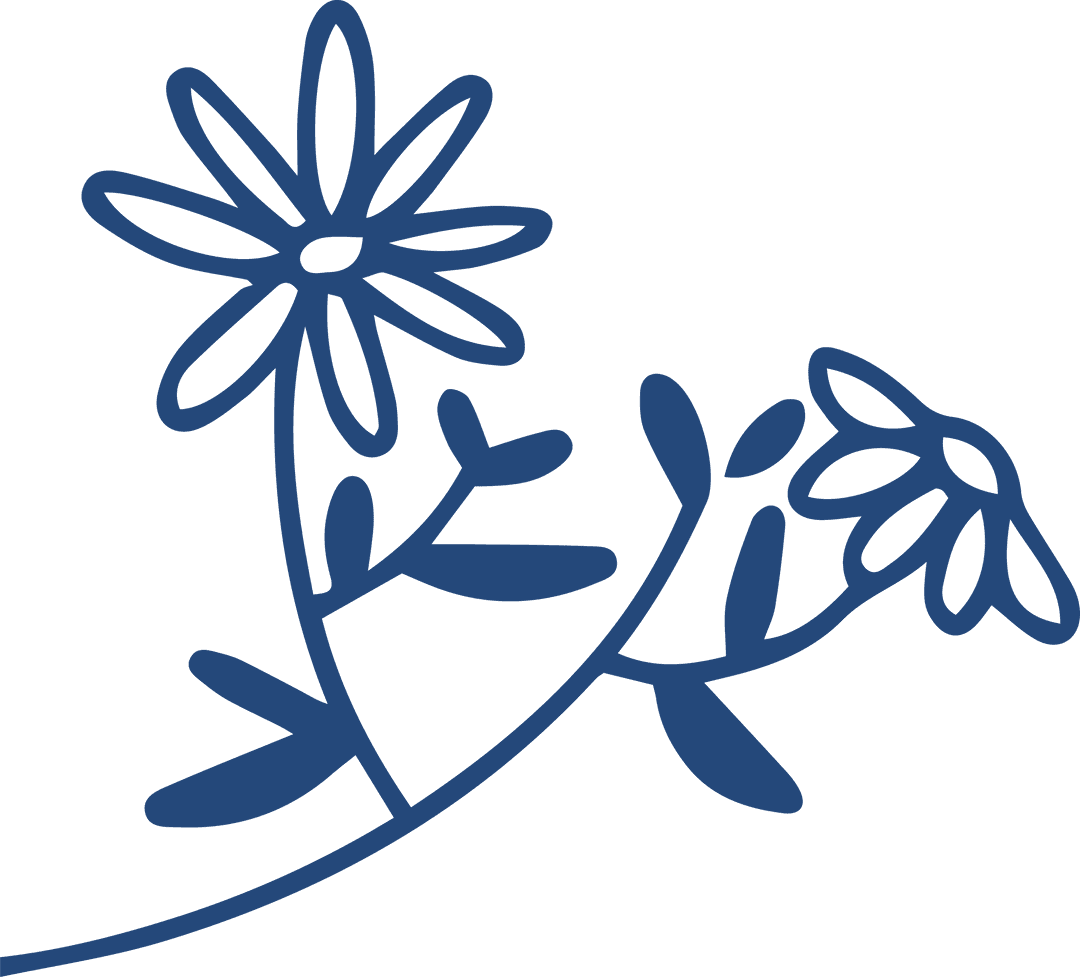 Minimalist Daisy Flowers Line Art on Transparent Background