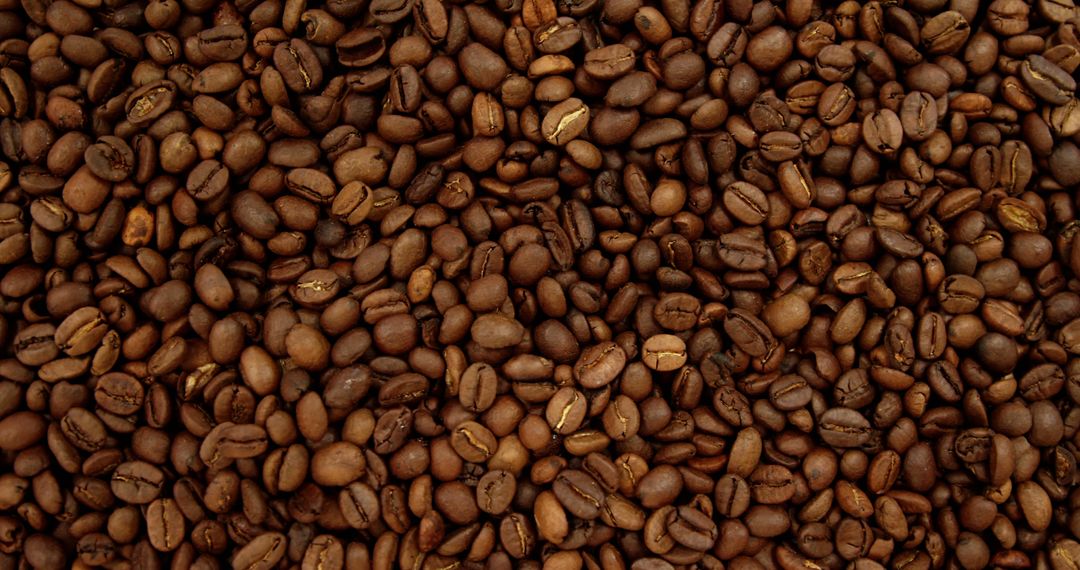 Close-Up of Fresh Roasted Coffee Beans Texture Background - Free Images, Stock Photos and Pictures on Pikwizard.com