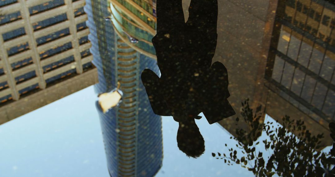 Silhouette of Businessman Reflected in Urban Puddle - Free Images, Stock Photos and Pictures on Pikwizard.com