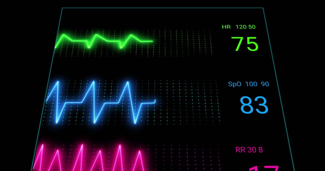 Digital Cardiograph Display with Health Metrics