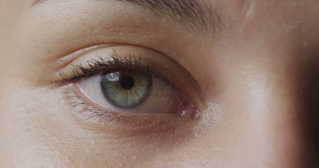 Close-up of Beautiful Green Eye with Natural Eyelashes - Free Images, Stock Photos and Pictures on Pikwizard.com