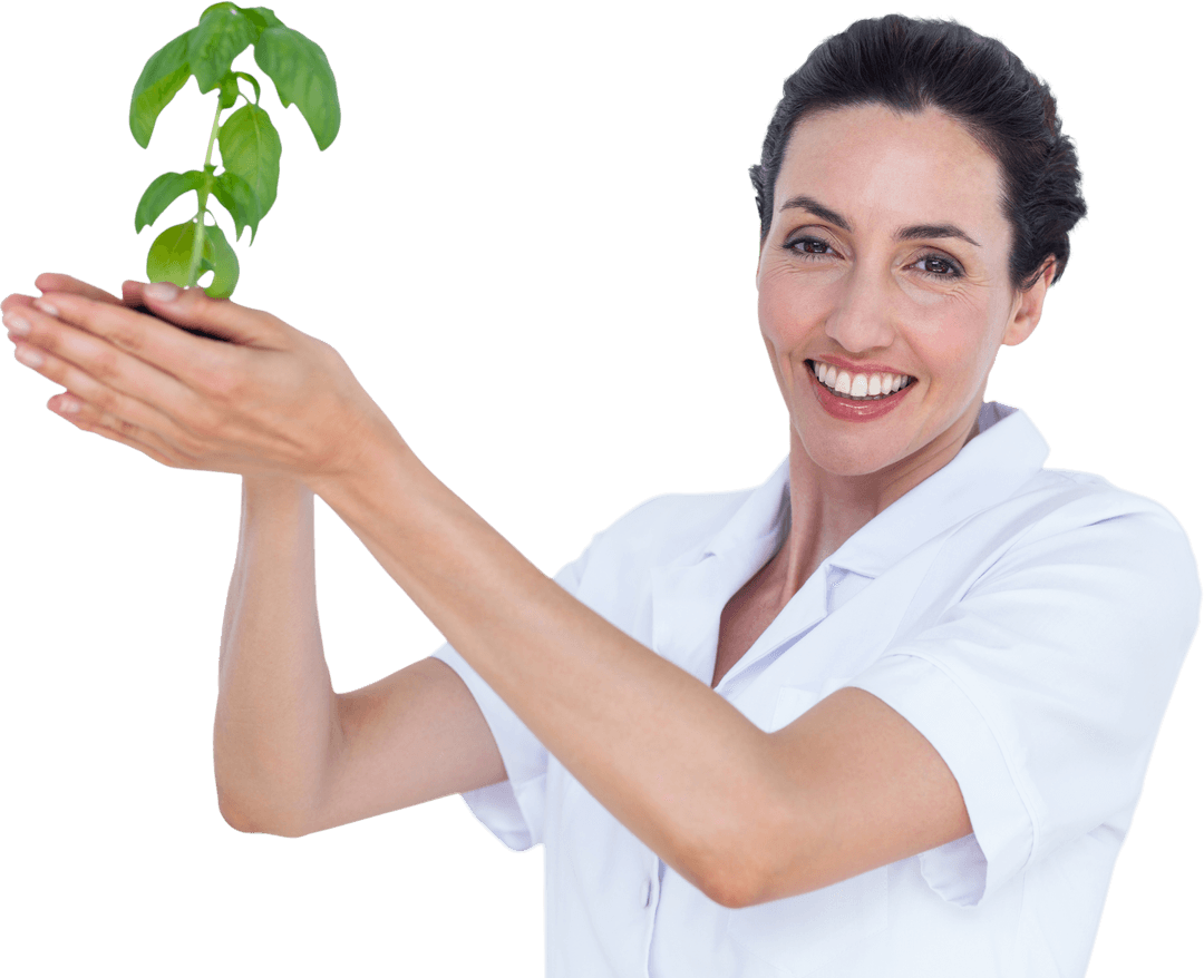Scientist Holding Young Basil Plant Through Transparent Background