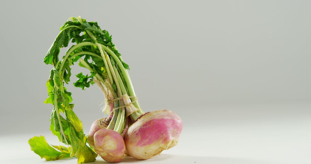 Fresh Purple Turnips on Clean White Background - Free Images, Stock Photos and Pictures on Pikwizard.com