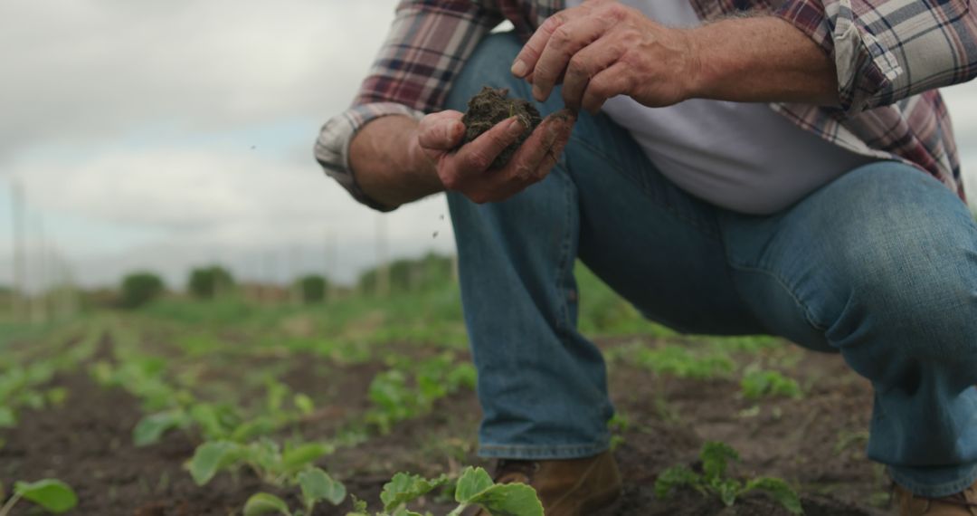 Farmer Inspecting Soil Quality in Vegetable Field - Free Images, Stock Photos and Pictures on Pikwizard.com