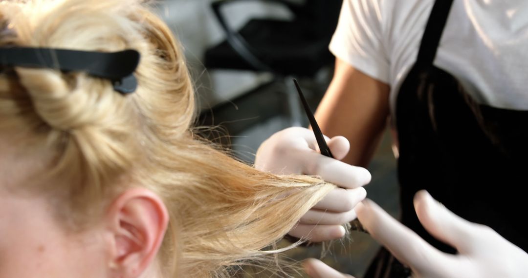 Hairdresser Applying Hair Dye to Blonde Woman in Salon - Free Images, Stock Photos and Pictures on Pikwizard.com