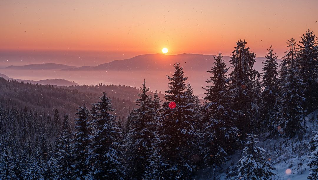 Setting sun over snow-covered pine forest, misty alpine mountain panorama at dusk