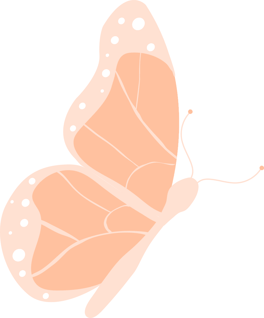 Peach Butterfly with Veins and White Spots Transparent Vector Art