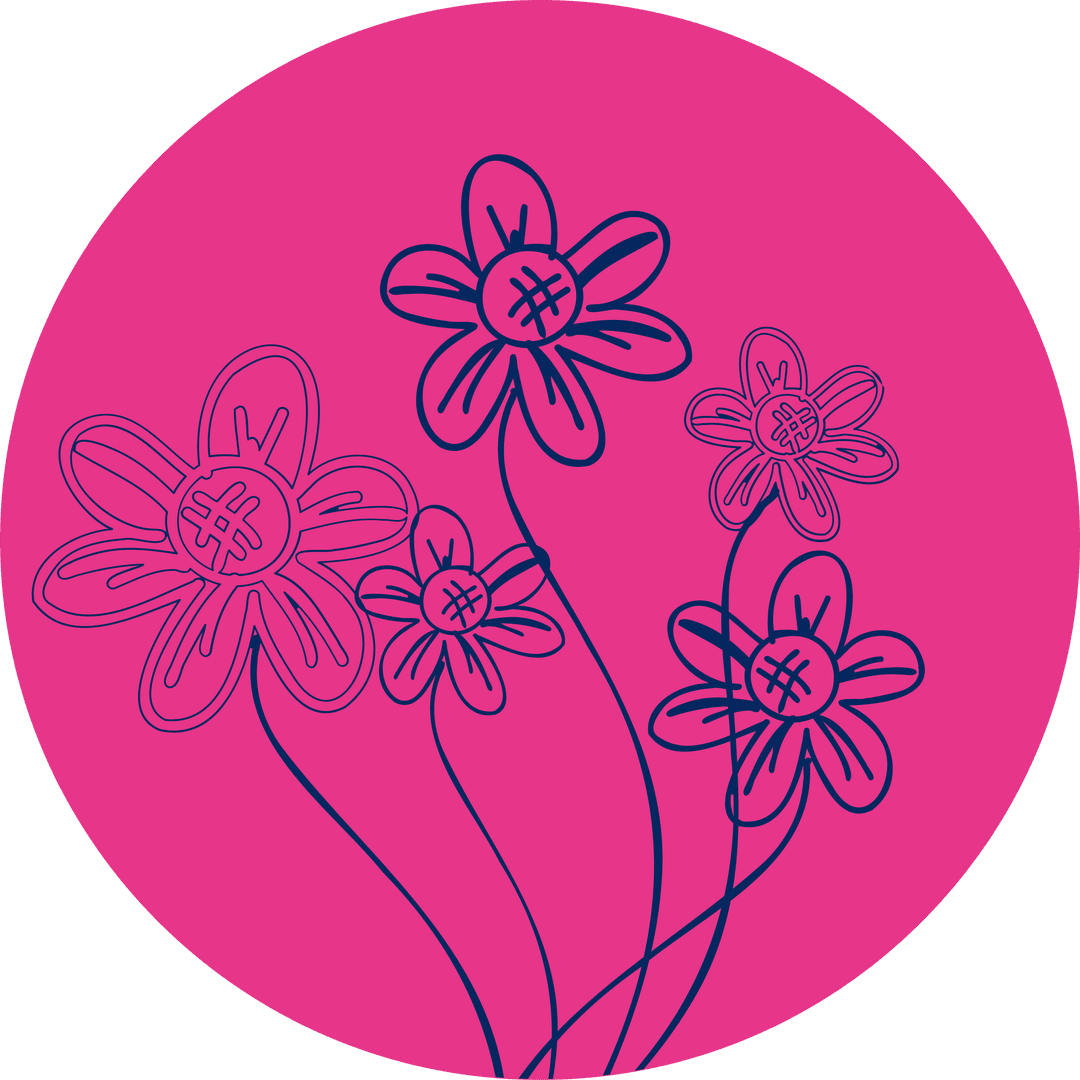 Transparent Botanical Flower Illustration on Fuchsia Background