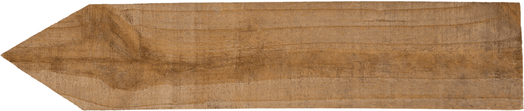 Transparent Pointed Wooden Plank Close-Up Detailed Texture
