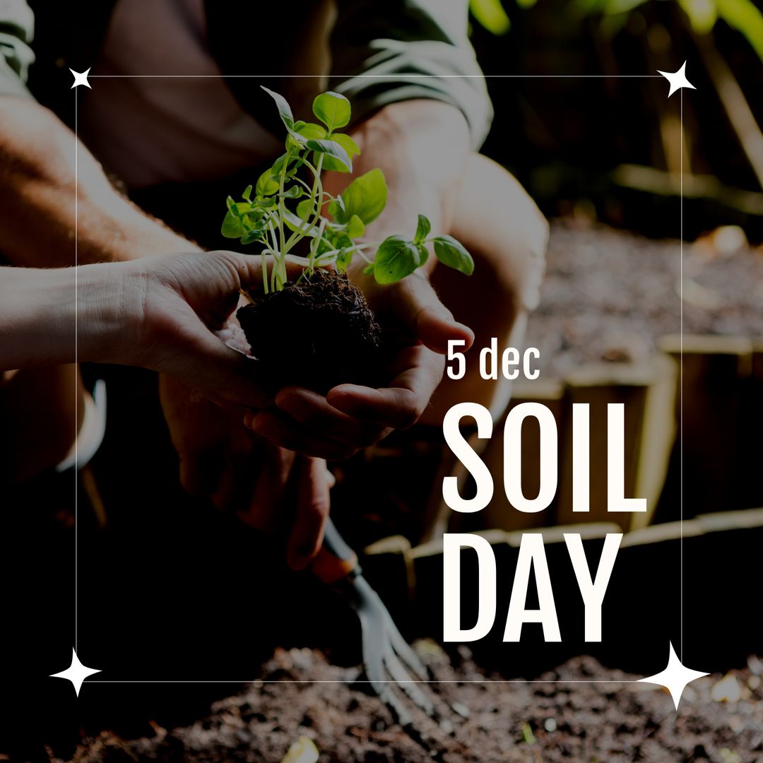 Celebrating World Soil Day with Seedling in Hands