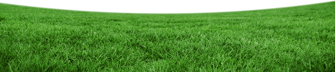 Realistic Transparent Grass Field on Clear Background