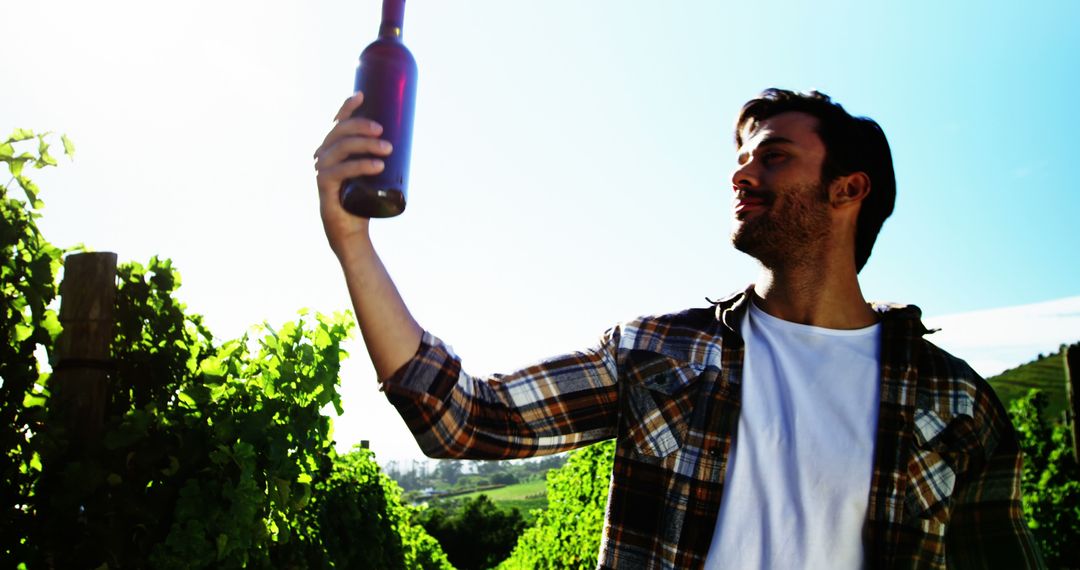 Man Inspecting Wine Bottle in Vineyard on Sunny Day - Free Images, Stock Photos and Pictures on Pikwizard.com