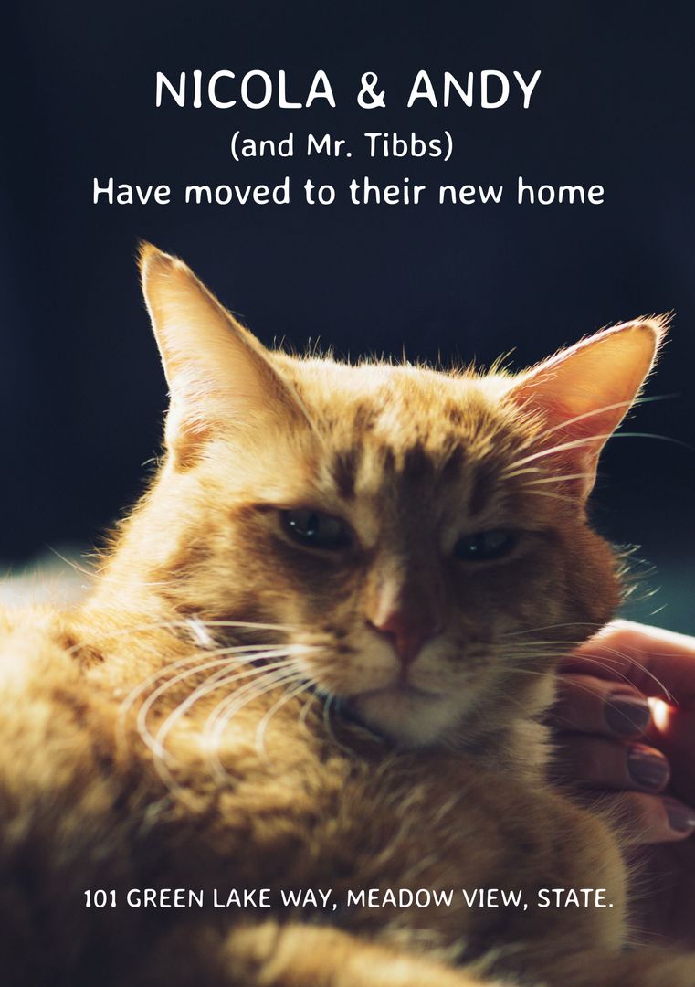 Serene Ginger Cat Depicts New Home Announcement