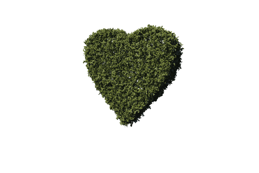 Green Heart Shaped Grass on Transparent Background
