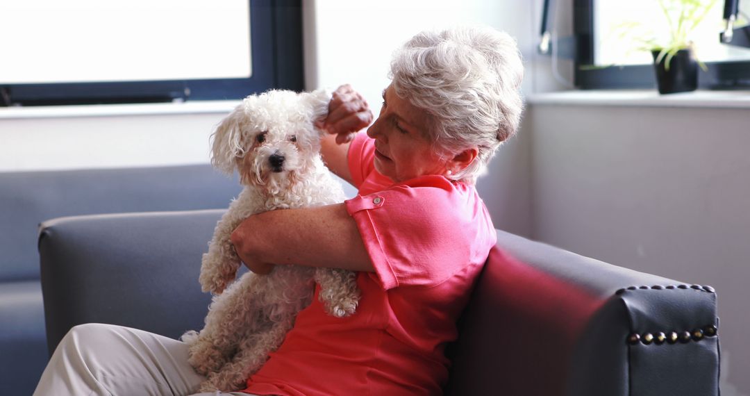 Senior Woman Cuddling with White Fluffy Dog on Sofa - Free Images, Stock Photos and Pictures on Pikwizard.com