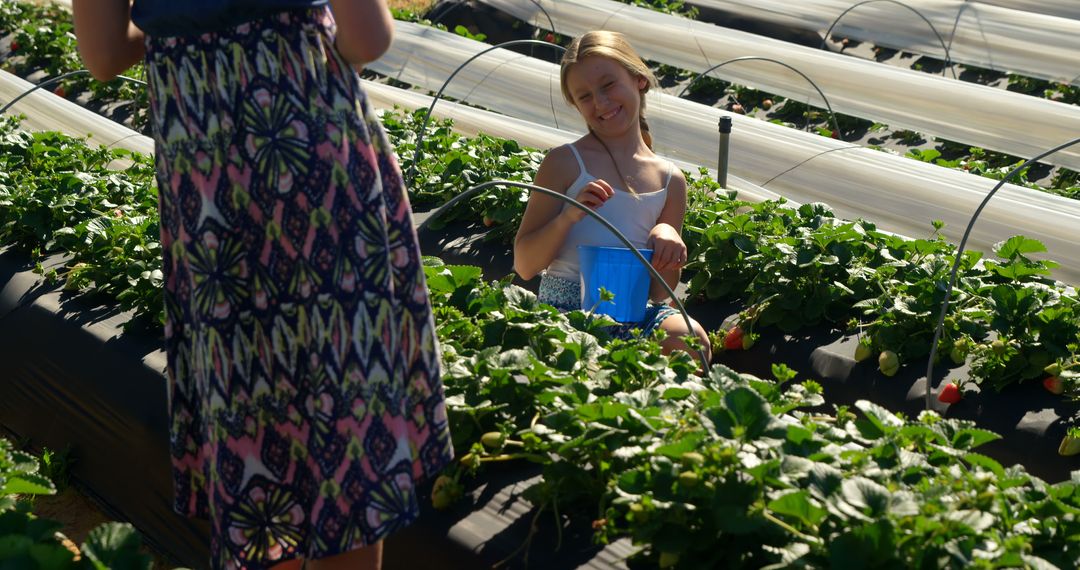 Teenage Caucasian girl enjoys picking strawberries outdoors - Free Images, Stock Photos and Pictures on Pikwizard.com