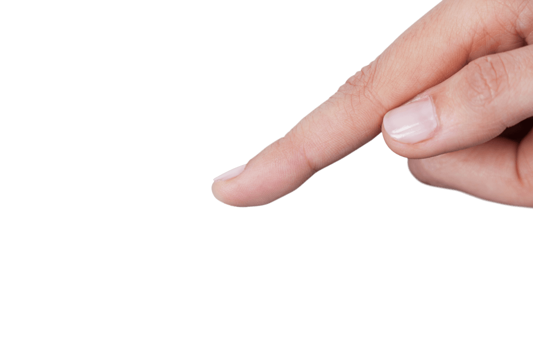 Transparent Background Hand Pointing for Focused Presentation