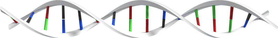 Transparent 3D DNA Strand Structure Illustration