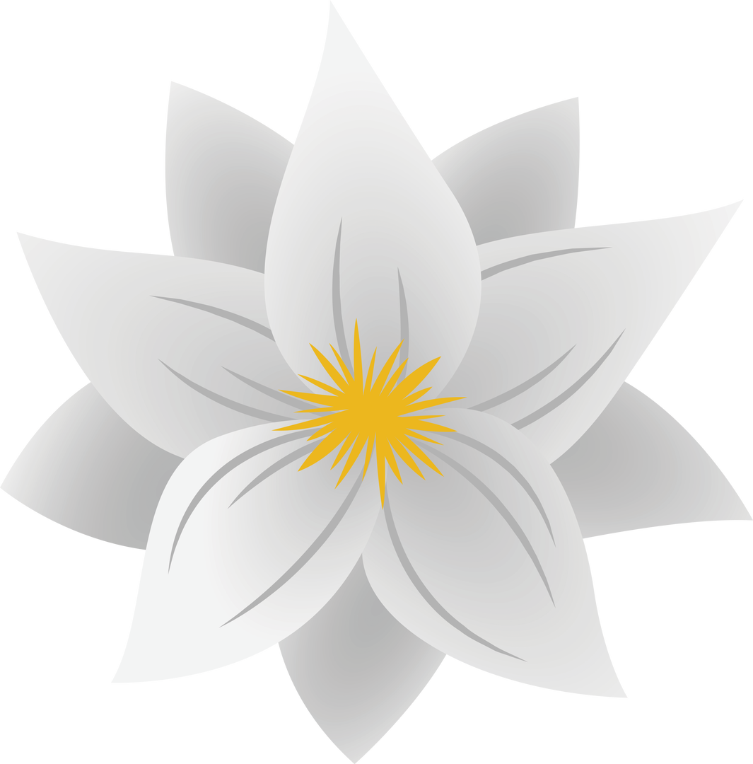 White Flower Illustration with Yellow Center on Transparent Background - Download Free Stock Images Pikwizard.com