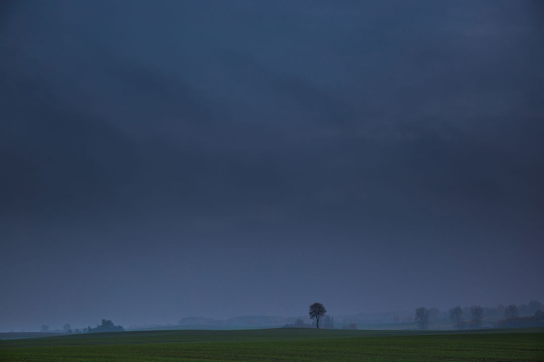 Solitary Tree at Dusk in Still Landscape