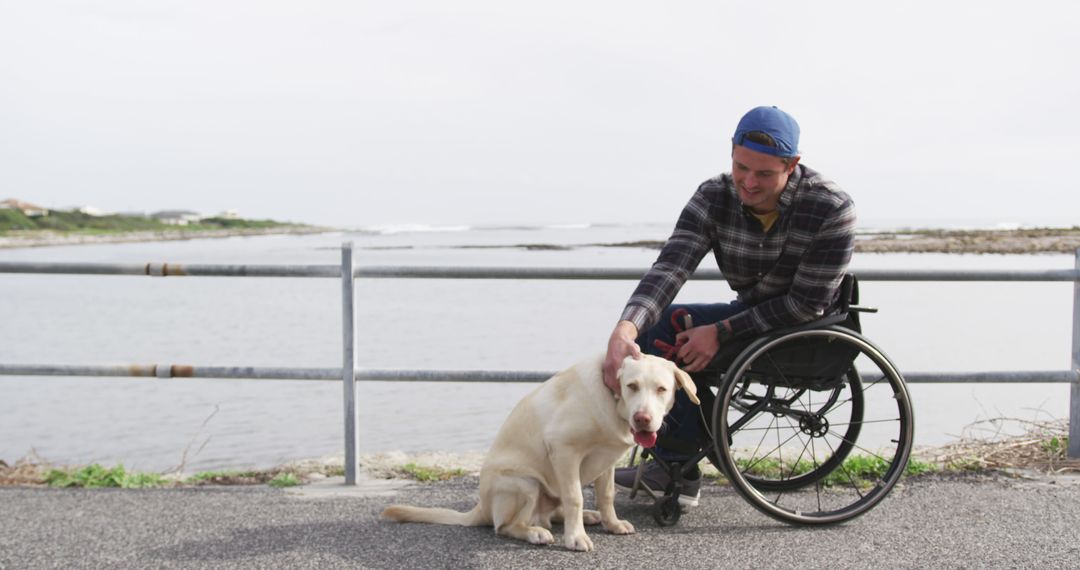 Man in wheelchair petting dog by seaside - Free Images, Stock Photos and Pictures on Pikwizard.com