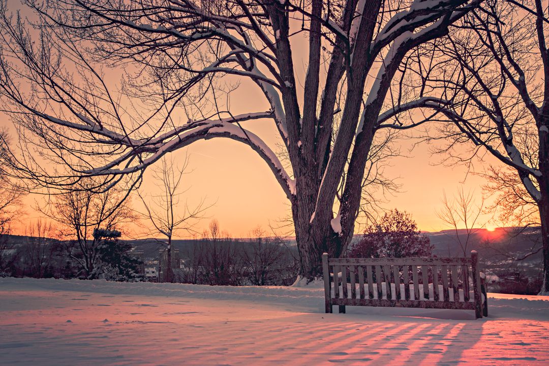 Serene Winter Park Sunset with Snow-Covered Bench and Tree