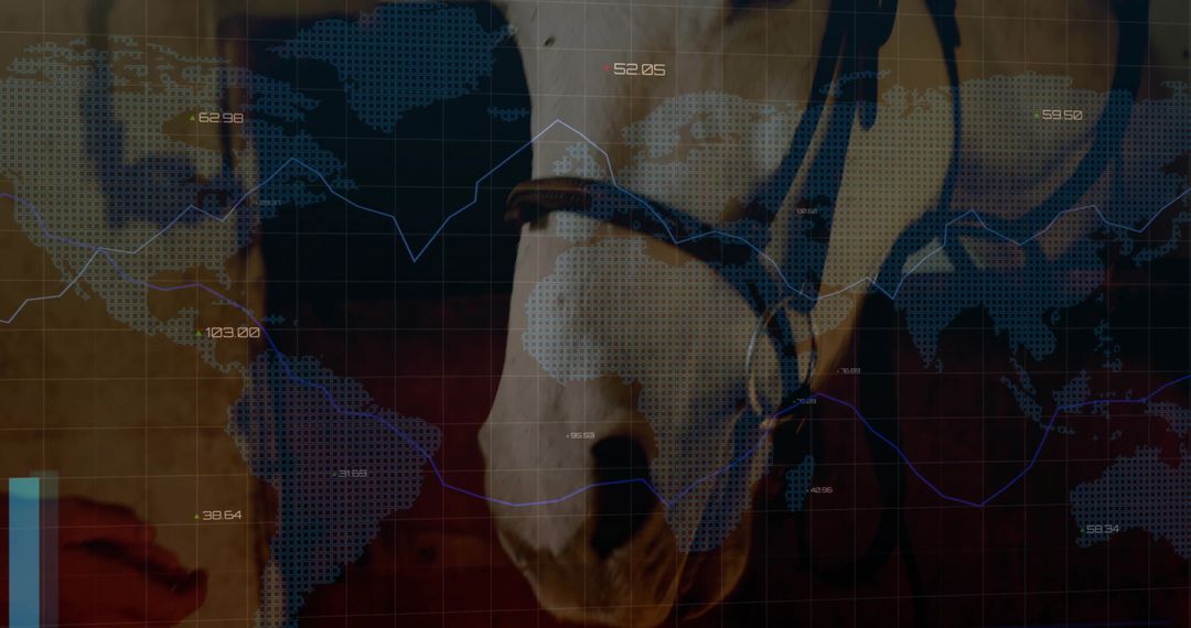 Equestrian Investment Concept with Digital Global Finance Overlay