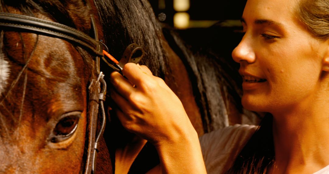 Young Woman Tending to Brown Horse in Stable - Free Images, Stock Photos and Pictures on Pikwizard.com