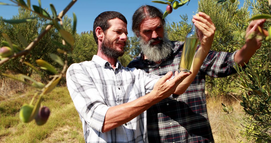 Farmers Inspecting Olive Oil Bottle in Olive Grove - Free Images, Stock Photos and Pictures on Pikwizard.com