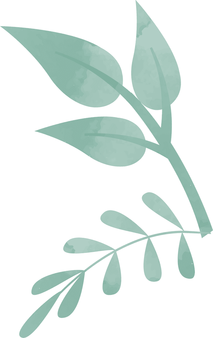 Watercolor Botanical Branches with Transparent Background