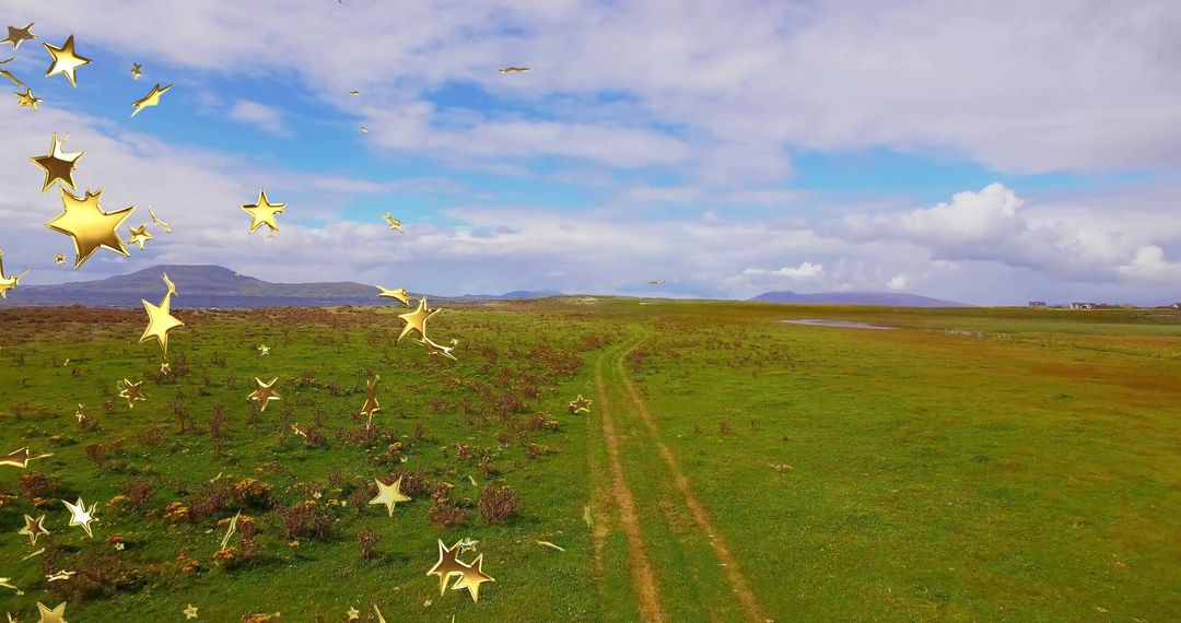 Dirt Tracks Through Grassland with Festive Gold Star Overlay