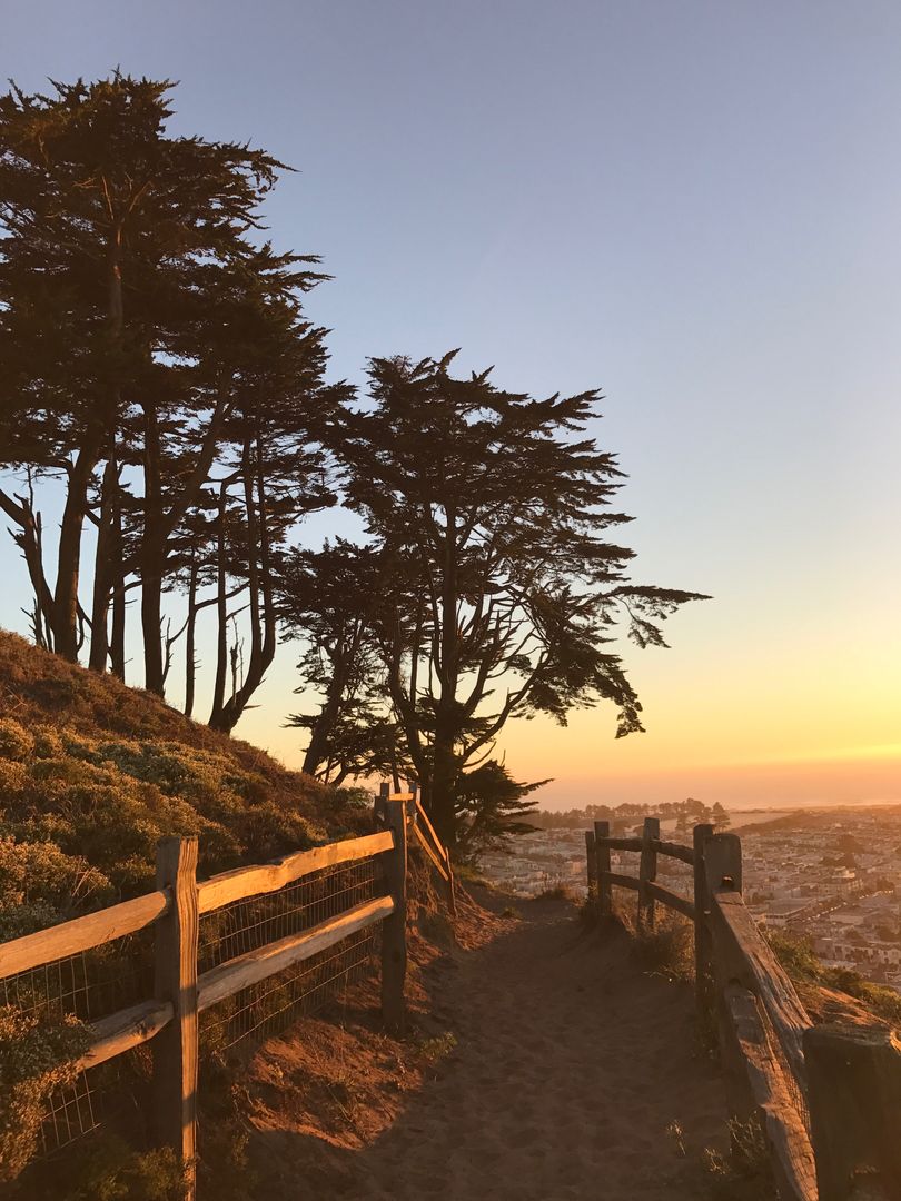 Scenic Coastal Path at Sunset with Silhouetted Trees and Wooden Fence - Free Images, Stock Photos and Pictures on Pikwizard.com