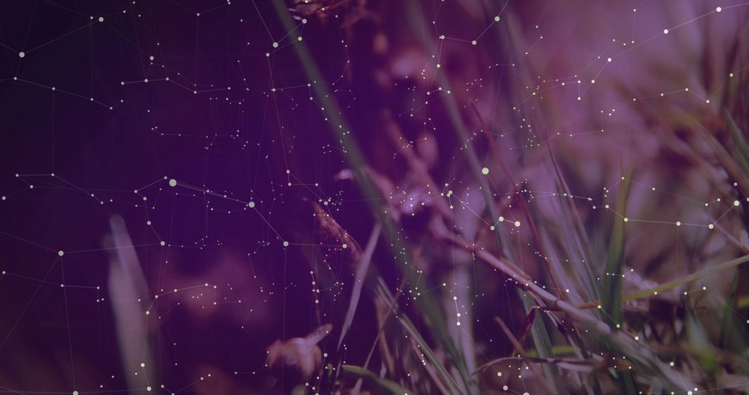 Futuristic Nature Blades with Digital Network Overlay