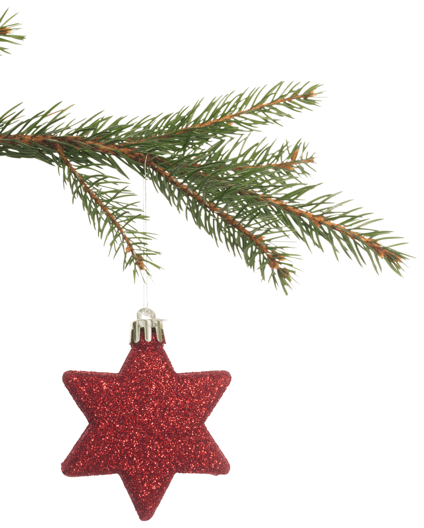 Transparent Red Star Christmas Ornament on Pine Branch
