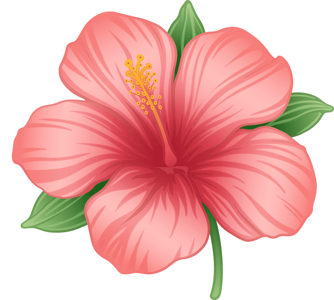 Transparent Pink Hibiscus Flower with Yellow Stamen Floating