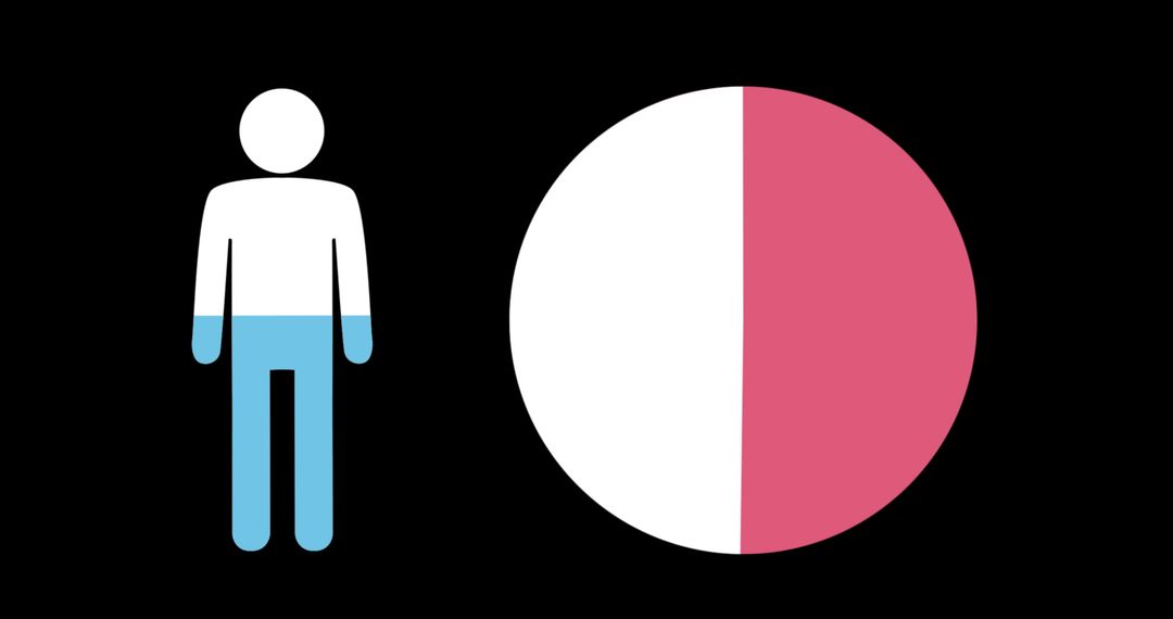 Graphical Icon with Pie Chart on Black