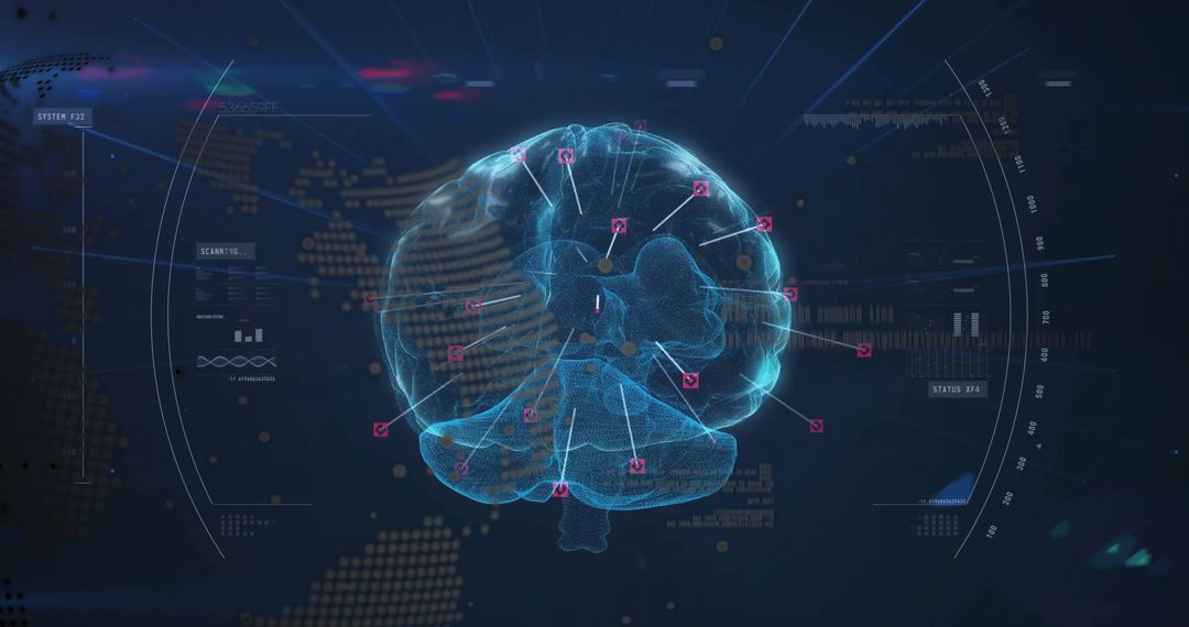 Digital Holographic Brain Model with Data Visualization