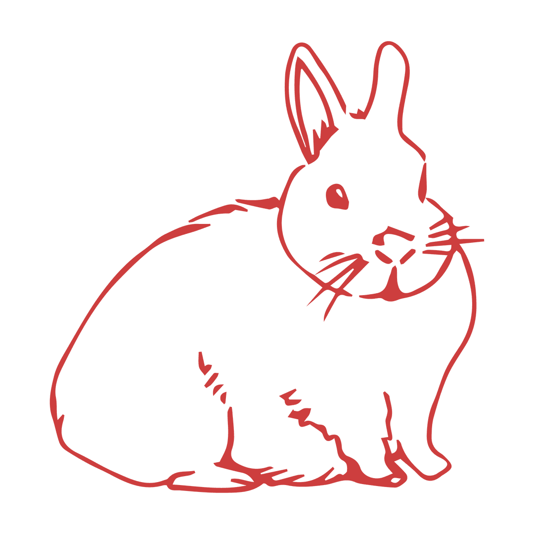 Red Bunny Vector Illustration on Transparent Background