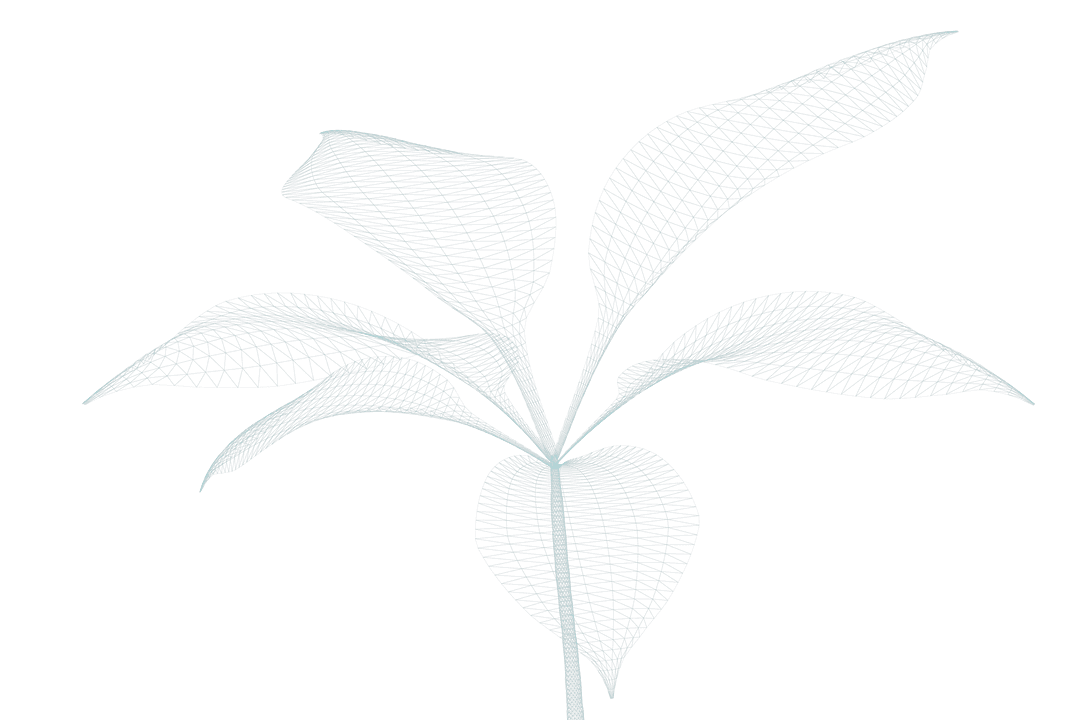 Transparent Digital Plant Art with Detailed Leaf Texture