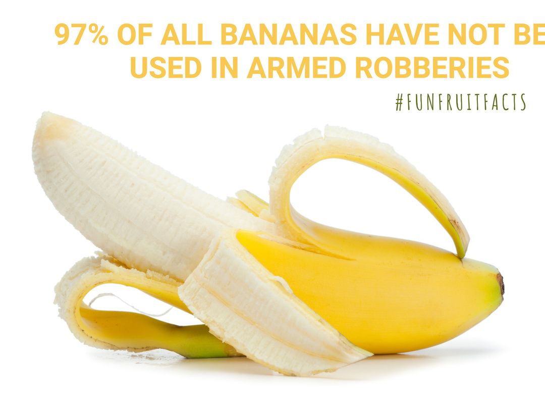 Humorous Banana Fact with Opened Banana and Trivia