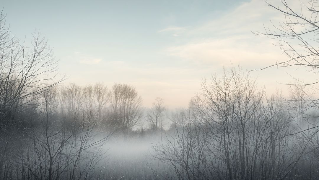 Foggy Winter Morning with Bare Trees and Pastel Sky over Frosty Field
