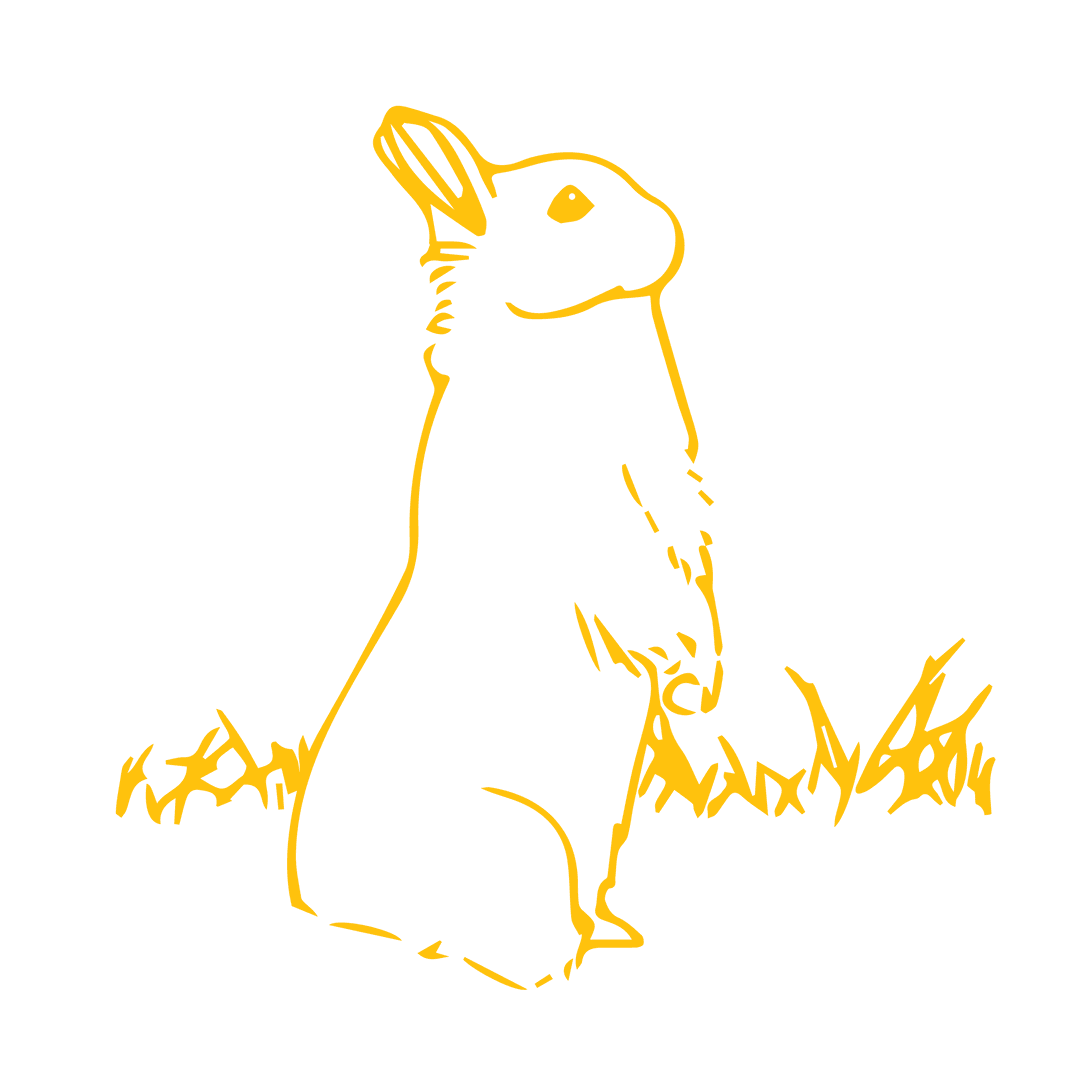 Yellow Bunny Rabbit Illustration on Transparent Background for Easter