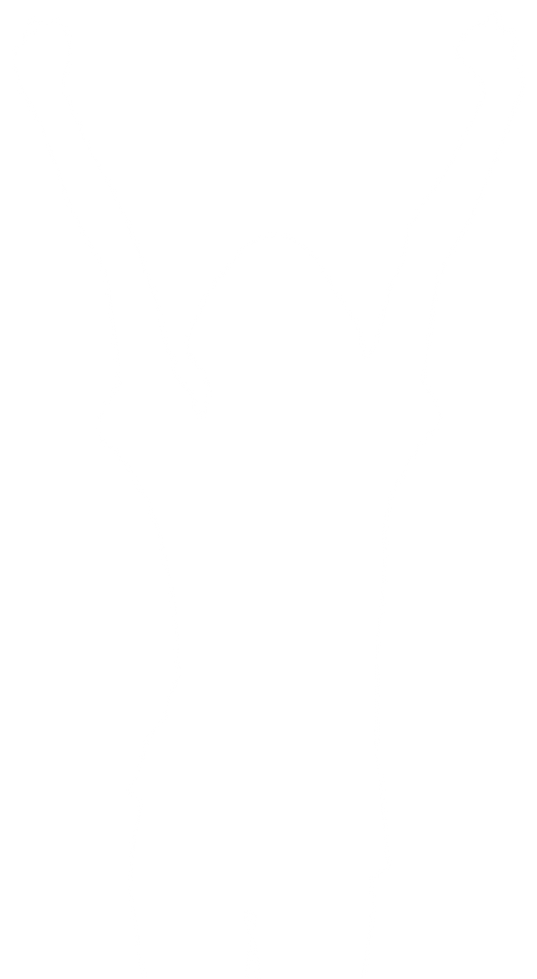 Transparent Silhouette of Woman Raising Hands in Victory - Download Free Stock Images Pikwizard.com