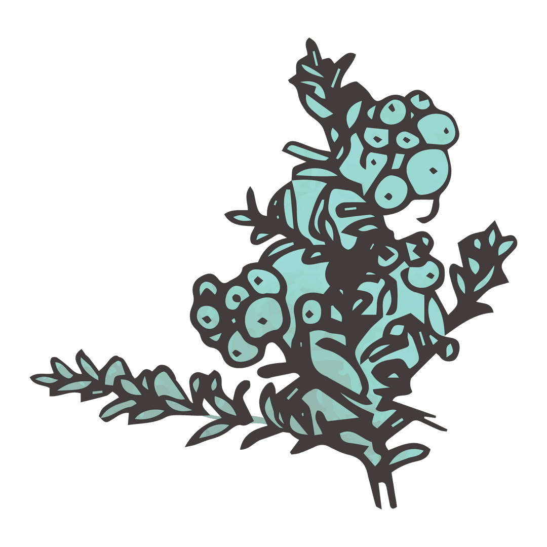 Digital greenery illustration on transparent background