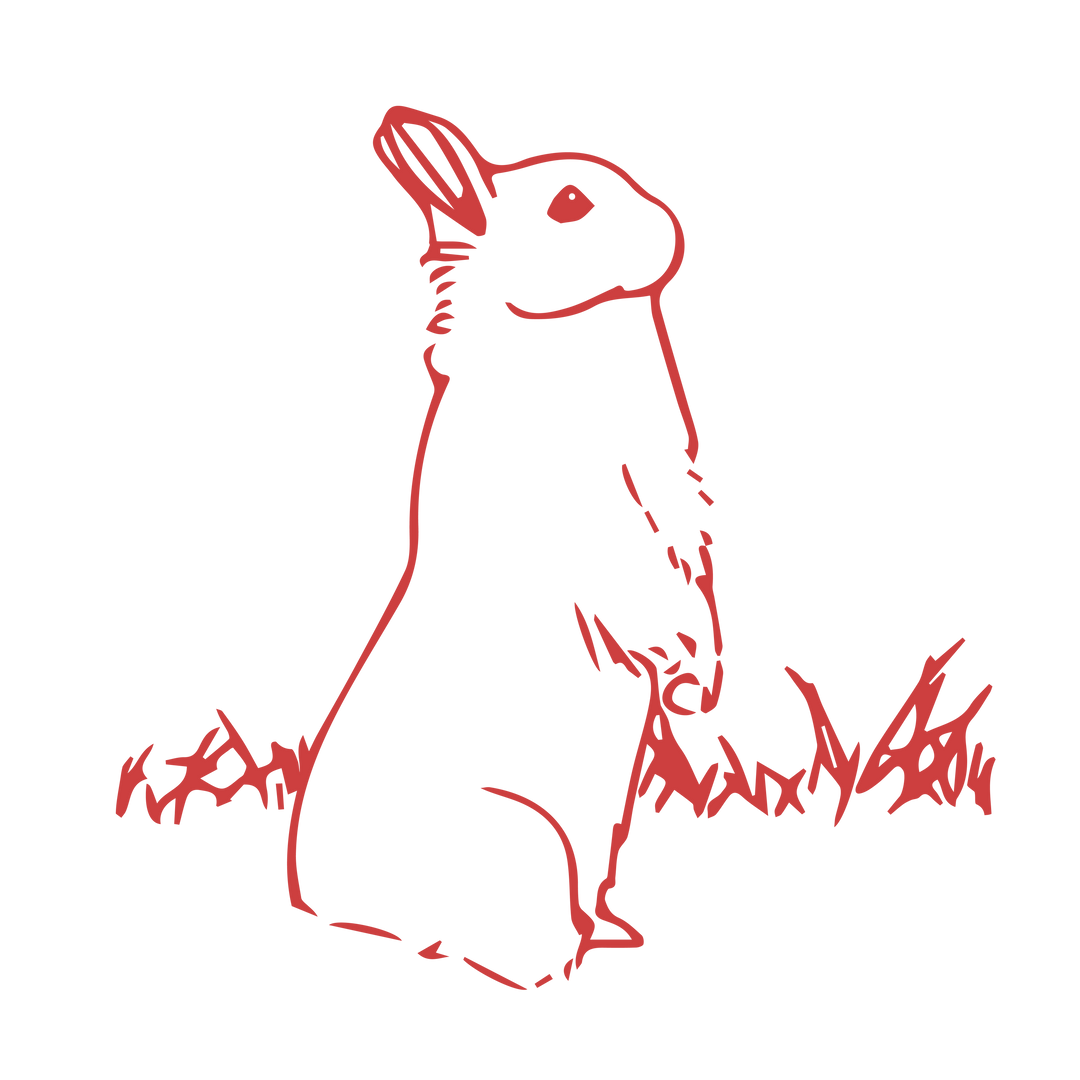 Transparent Red Bunny Sketch Illustration for Easter Celebration - Download Free Stock Images Pikwizard.com